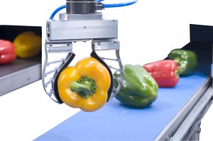 Flexibele Gripper